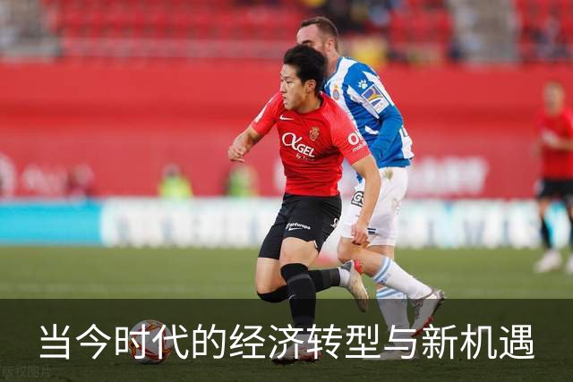 当今时代的经济转型与新机遇