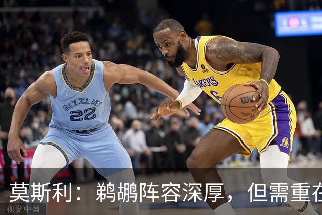 莫斯利：鹈鹕阵容深厚，但需重在磨合与牺牲